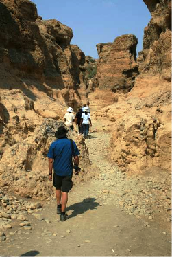 IUGS-GEM delegates in Sesriem Canyon, a narrow canyon cut in alluvial fan conglomerates and associated sedimentsNamibia.
